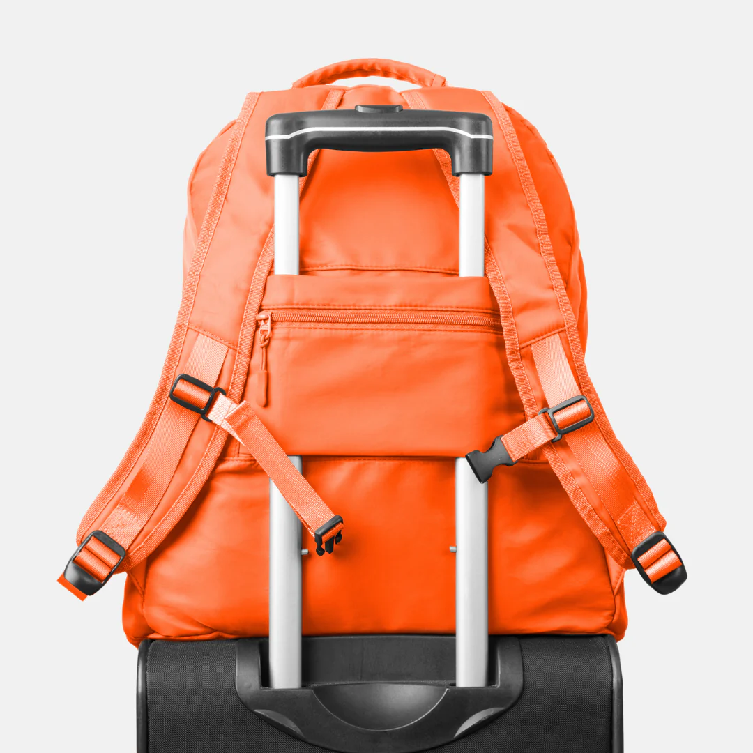 The Foldie® Backpack - Image 101